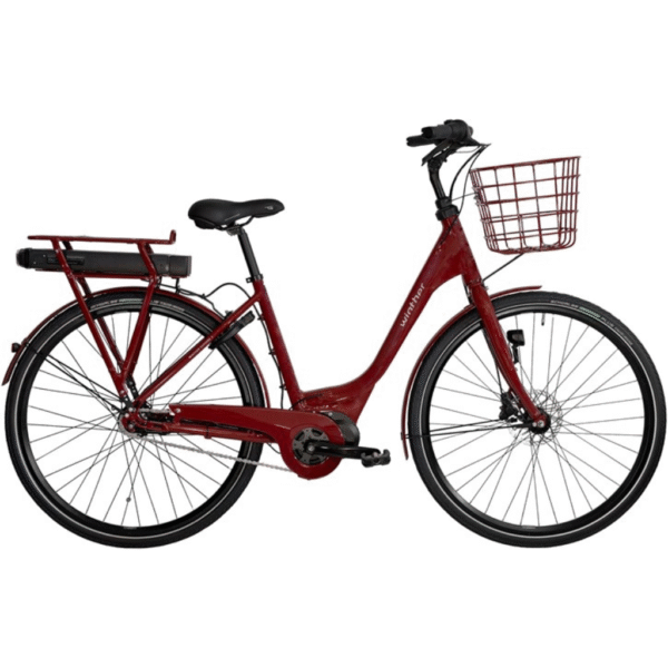 Red Winther Superbe 2 Dam 10,4Ah 7vxl 48cm