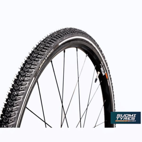 Dubbdäck Lieksa Winter