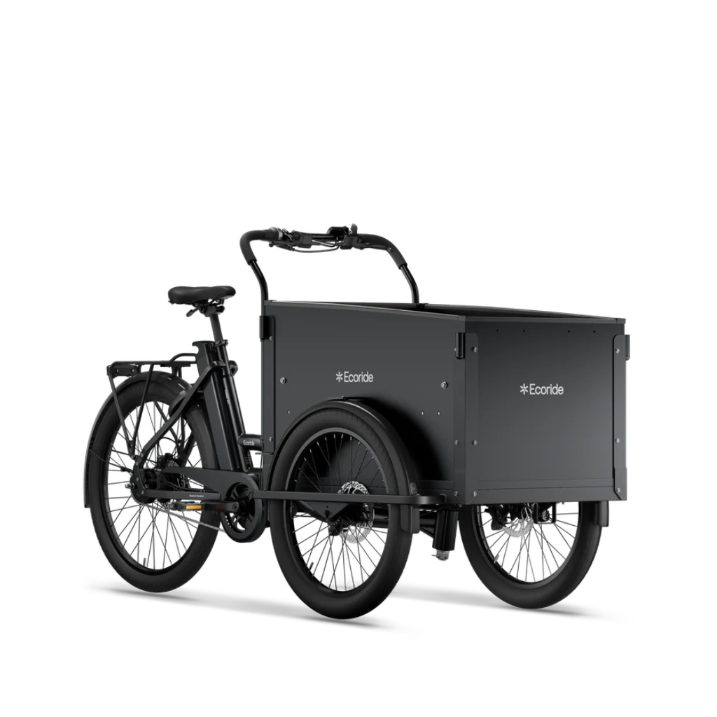 Ecoride Loader 401 Version 2