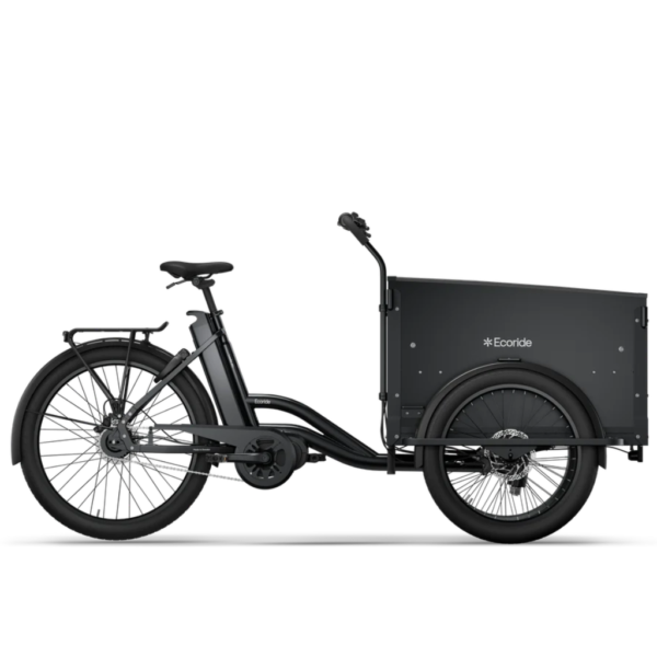 Ecoride Loader 401 Version 2