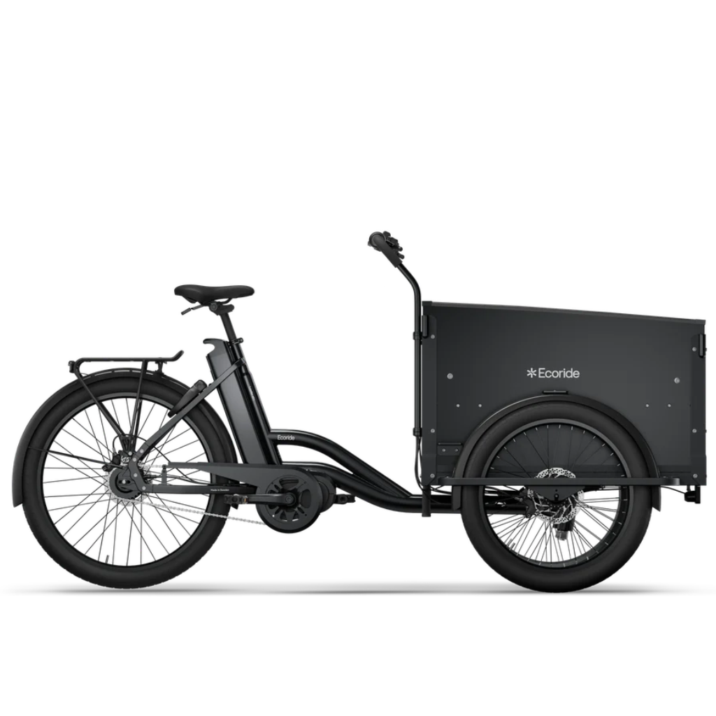 Ecoride Loader 401 Version 2