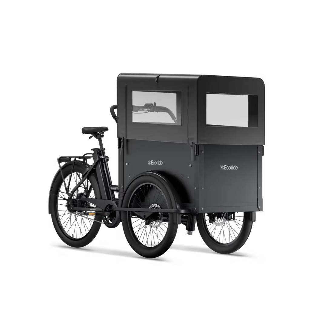 Ecoride Loader 401 Version 2