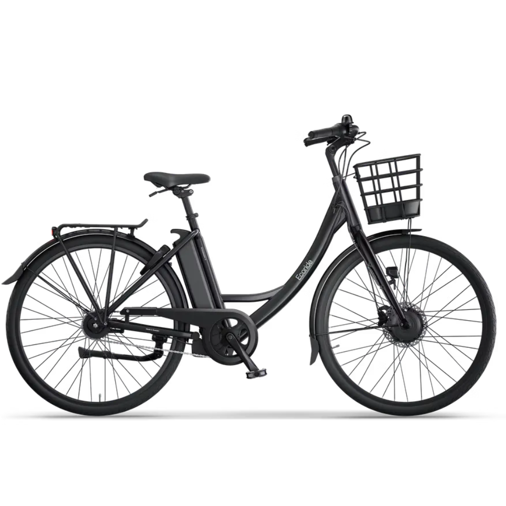 Ecoride Ambassador 3