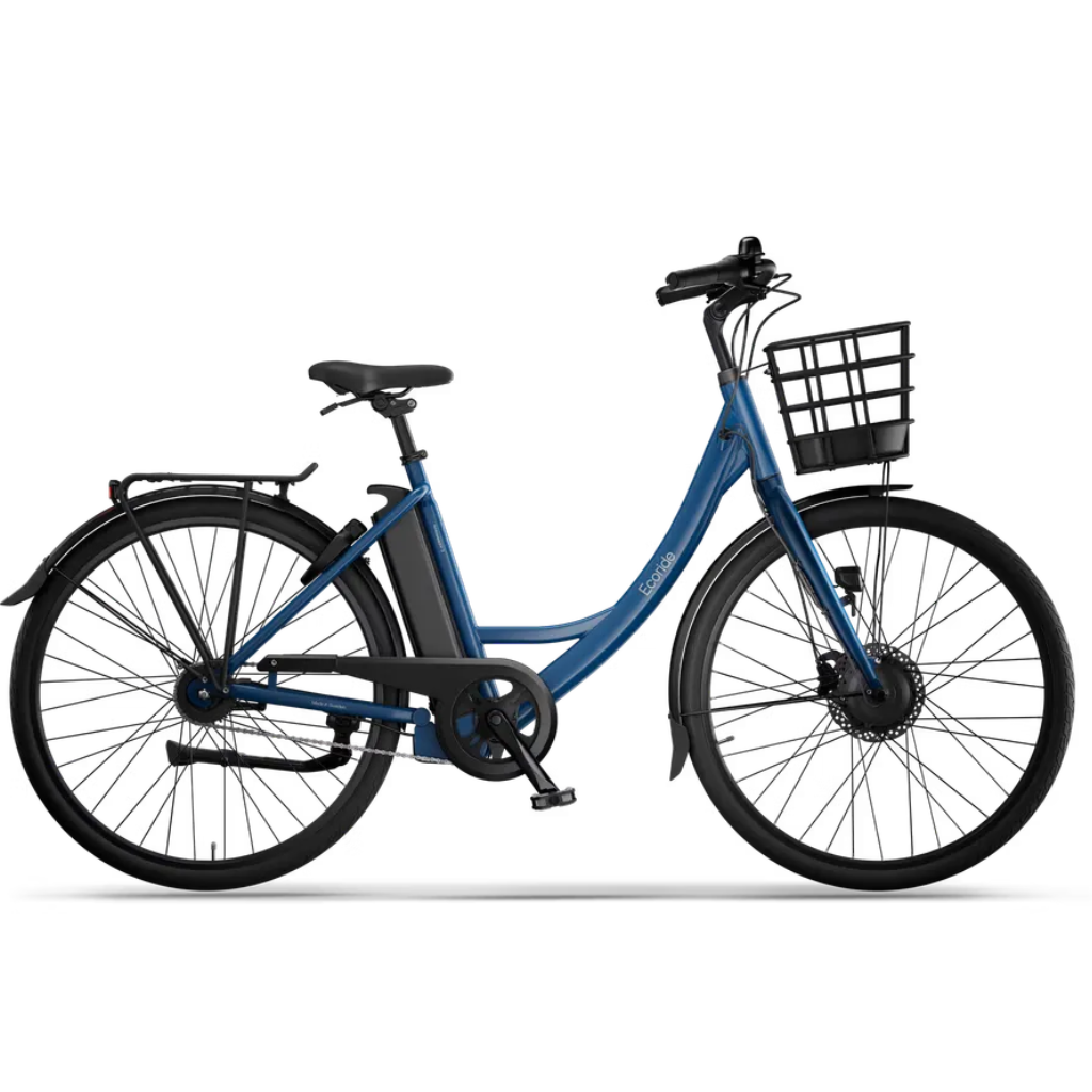 Ecoride Ambassador 3