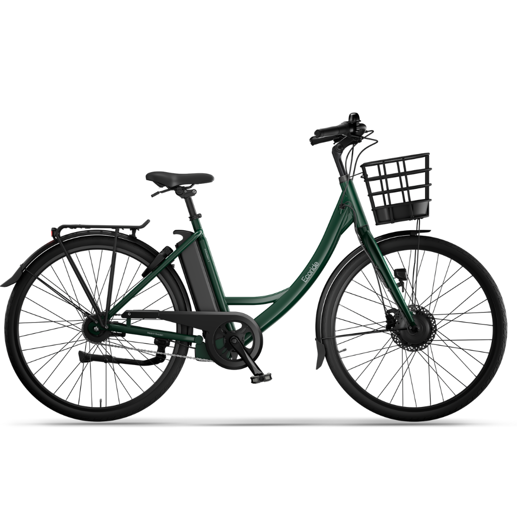 Ecoride Ambassador 3
